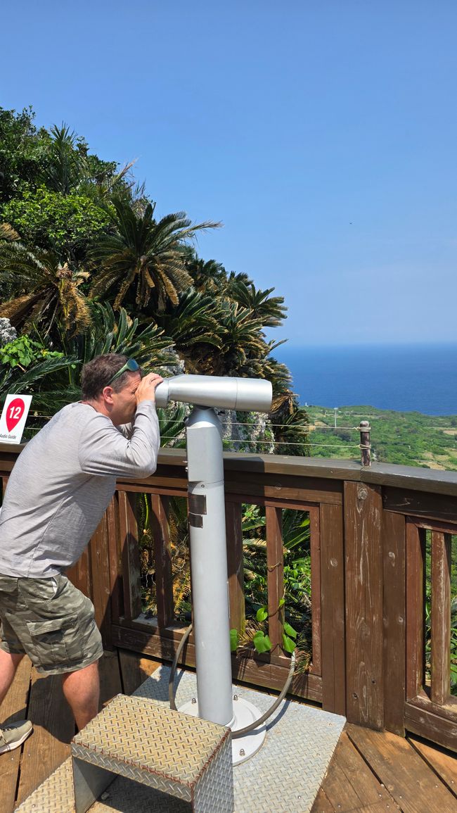 Okinawa Nuchi du takara (La vita è ciò che ci sta a cuore)