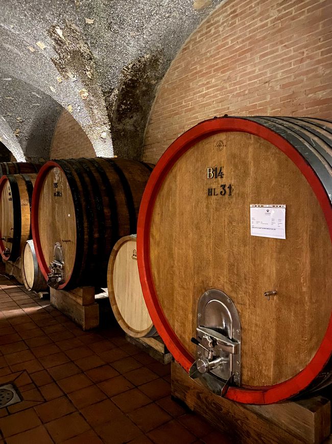 Tuscany Tour - Stop 3: Wine Tasting in Montalcino