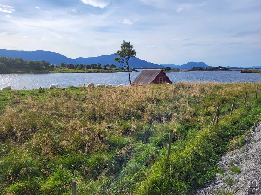 Brønnøysund, 14 de agosto de 2024