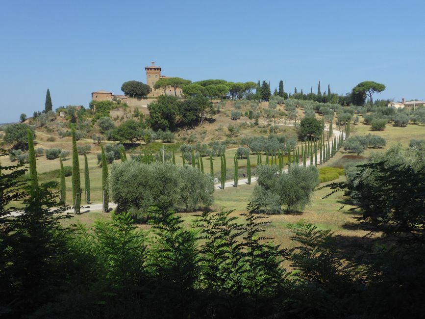 Auf dem Weg nach Montepulciano