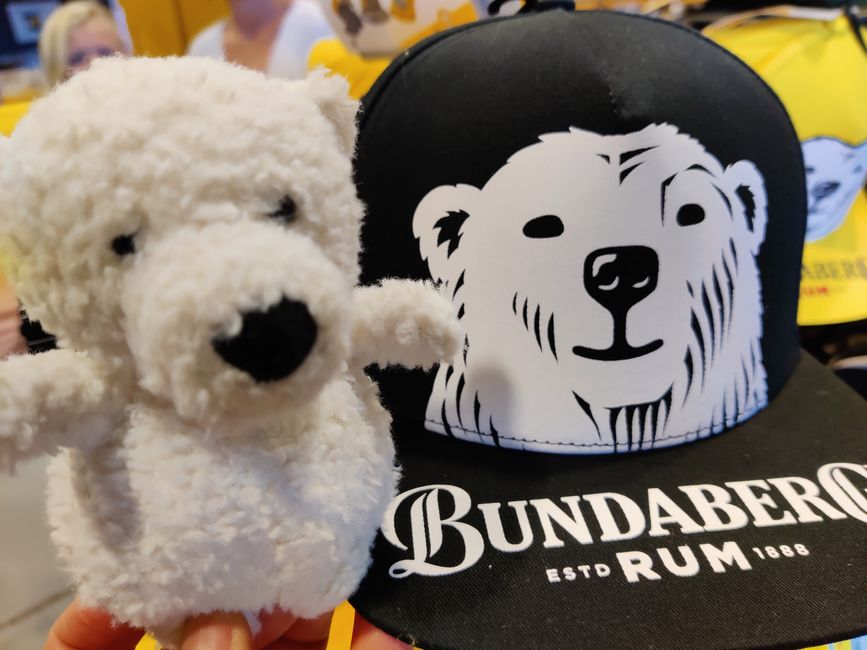 Buddy Bear meets Bundy R. Bear