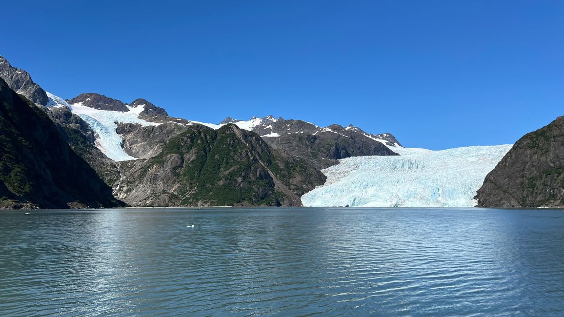 Glacier Raven