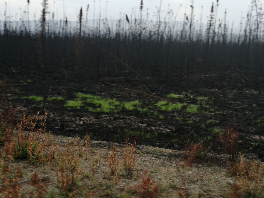 Fires on Klondike Hwy