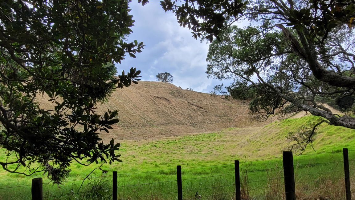 29.Januar-27.Februar 2025 Neuseeland
20.Januar