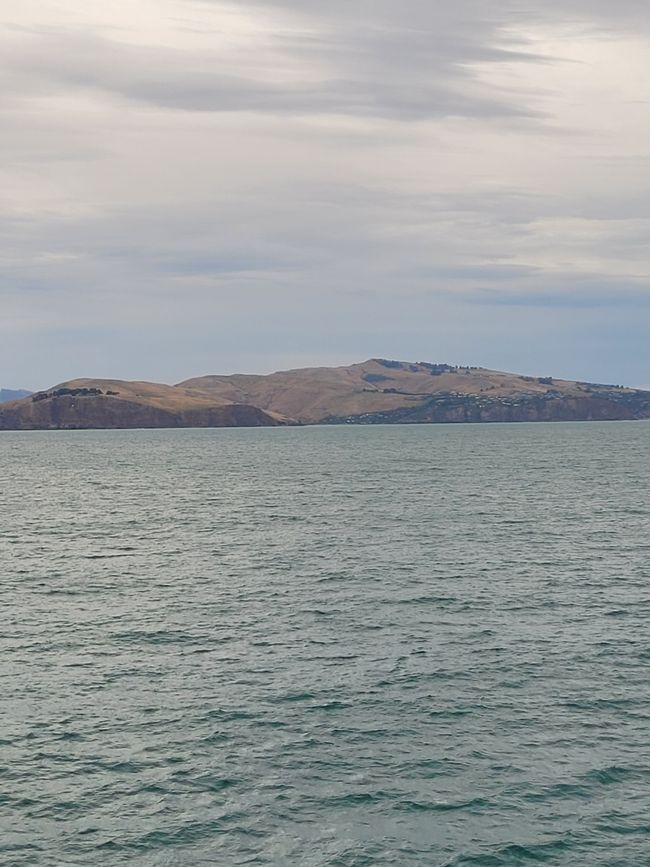 Tag 83: Encore deux heures avant Lyttelton/Nouvelle-Zélande