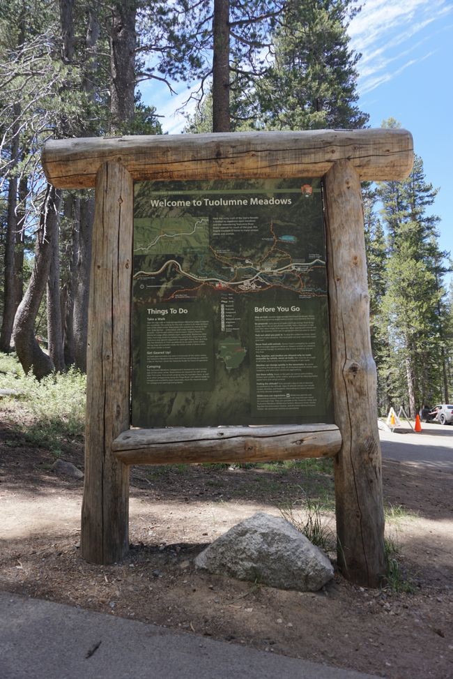 Tag 7 - Erster Tag im Yosemite Nationalpark 🥾🌲
