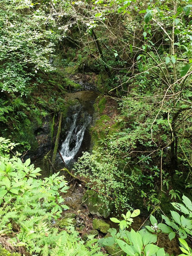 Kleine Wasserfälle