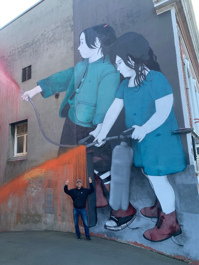 Dunedin and Taiaroa Head