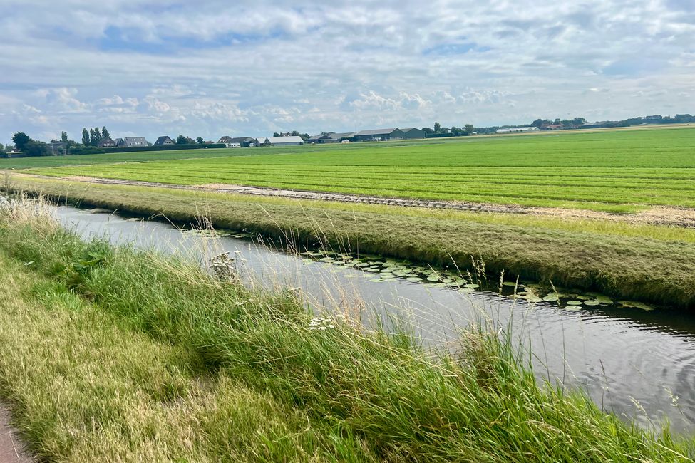 Tag 3 Hellevoetsluis>Hillegom (Endlich Meer)