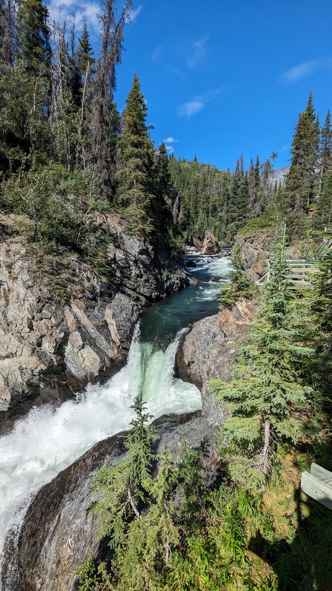 Tag 27: Bärenshow & fantastische Bergwelten - zurück nach Yukon/Kanada