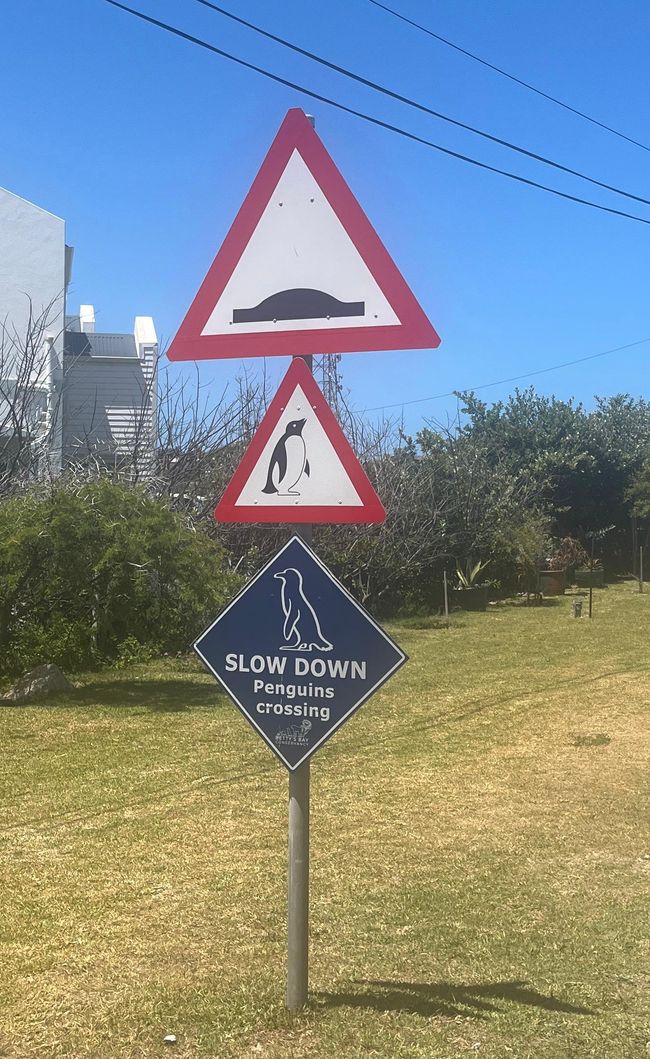 Weinregion Hermanus, Armut und Heimreise.