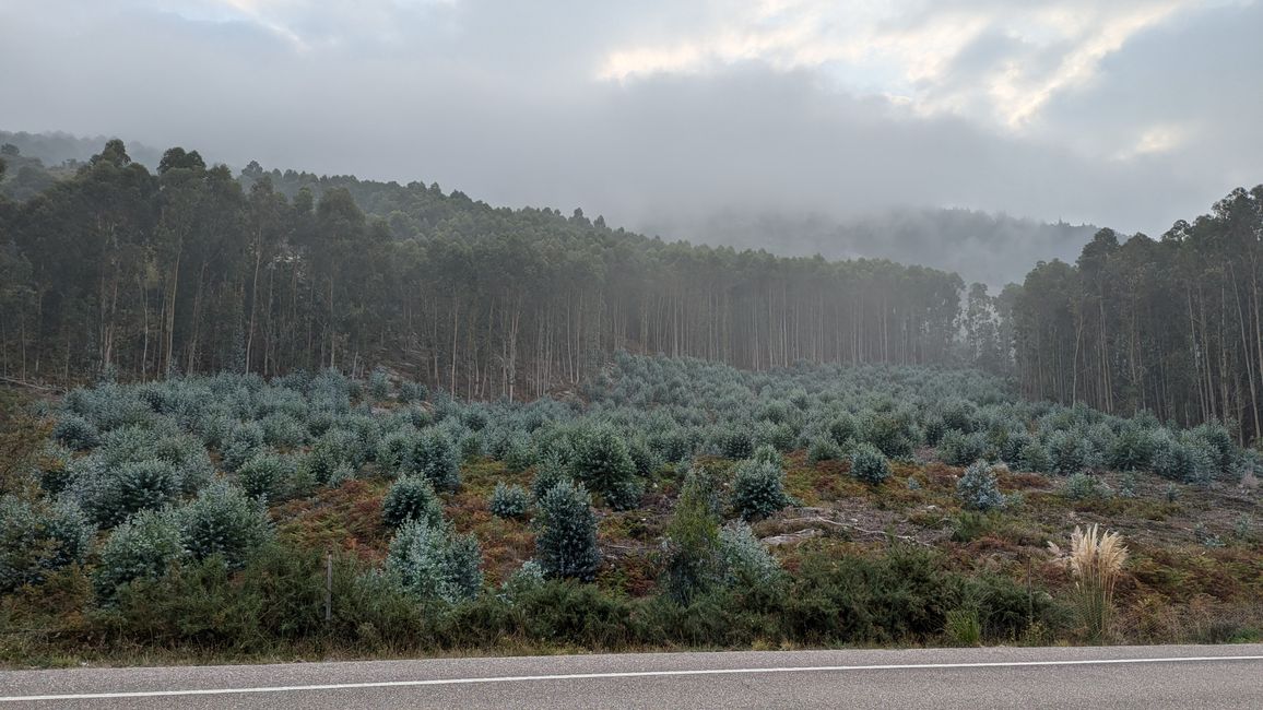 Seventh stage from Viladeduso to Baiona on the Camino Portugues da Costa