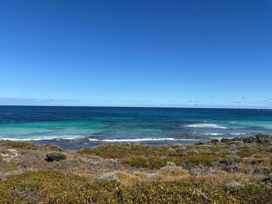 Rottnest Island