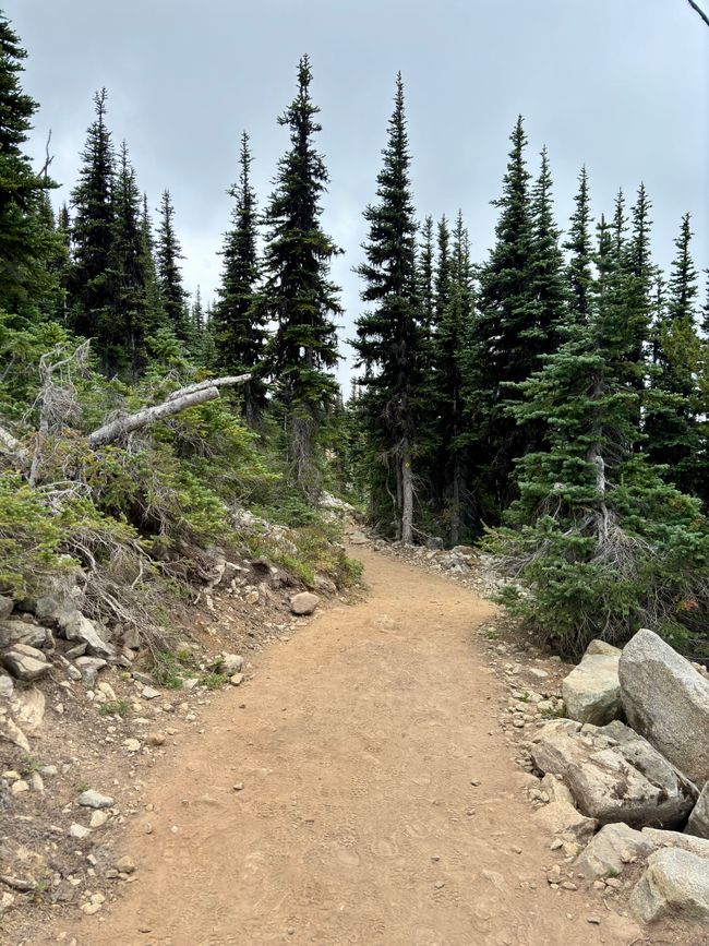 Blackcomb Mountain