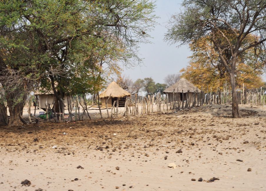 The return journey through the Kalahari