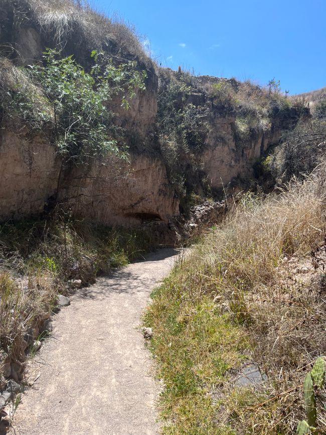 Tag 8
Qorihuilca Canyon und auf dem Markt einkaufen