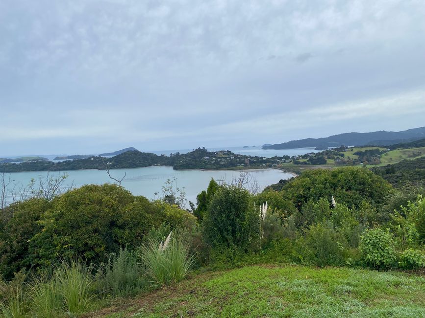 Coromandel loop