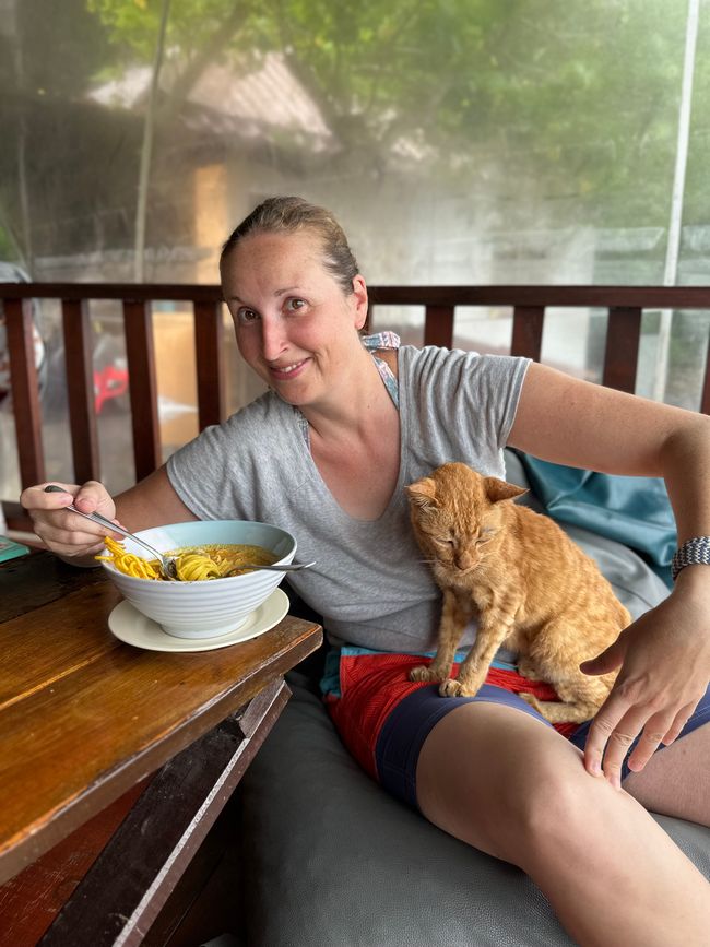 Letzte Tage Koh Tau und Überfahrt Koh Phangan