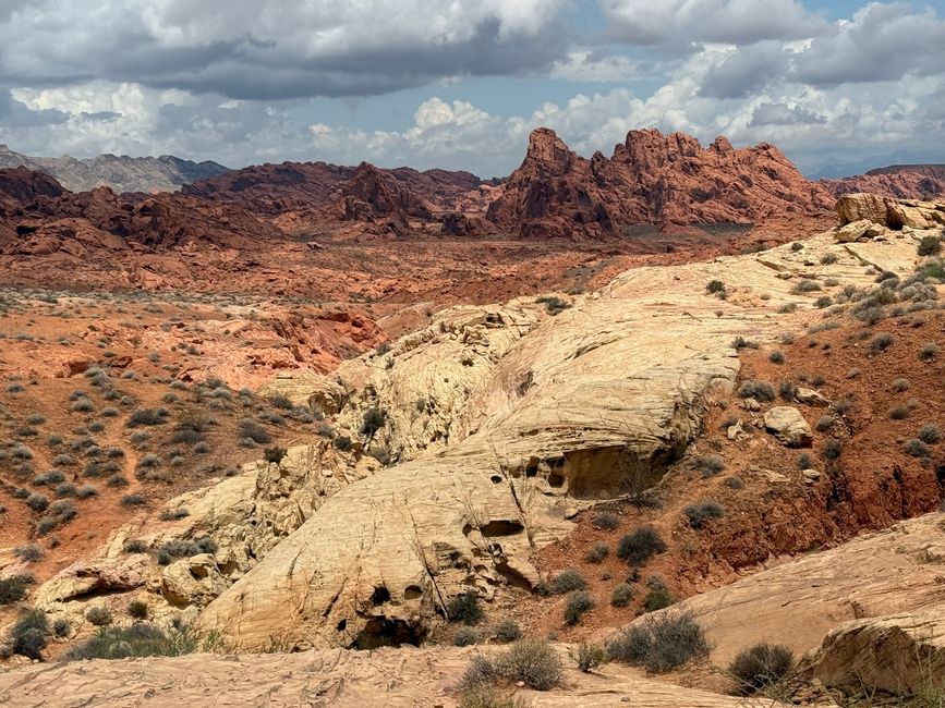 White Domes Trail