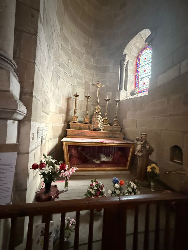 Cathédrale Saint-Apollinaire