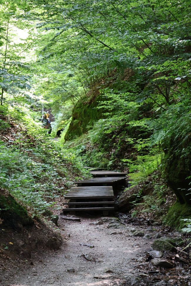 Discover Germany anew