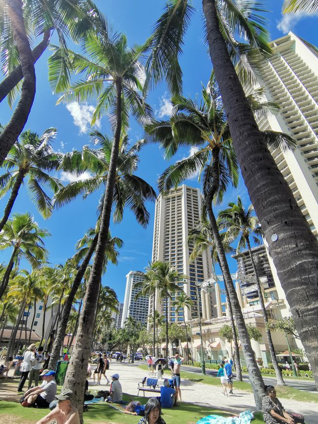 Hawaii - Waikiki Beach
