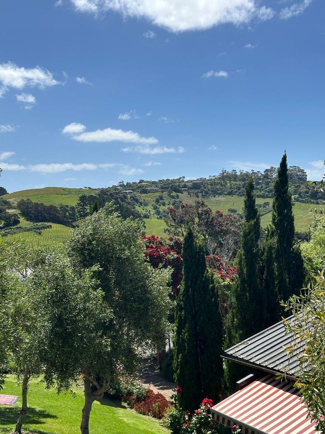 Weinprobe **Plan for Monday** Auckland - Waiheke - Auckland🍷🍇