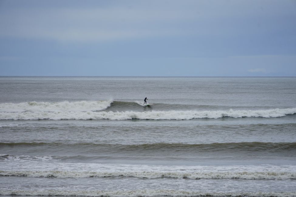 Charleston - Punakaiki - Greymouth - Arthur's Pass