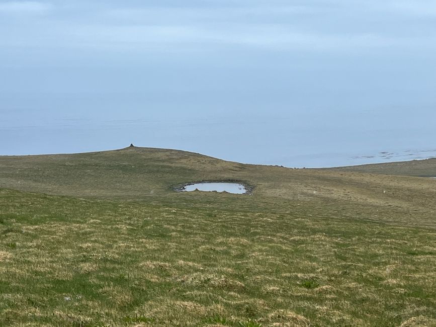 Auf der Jagd nach Puffins