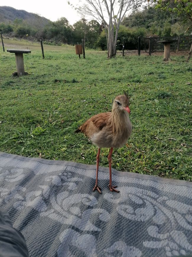 Refugio Canaa Brasil