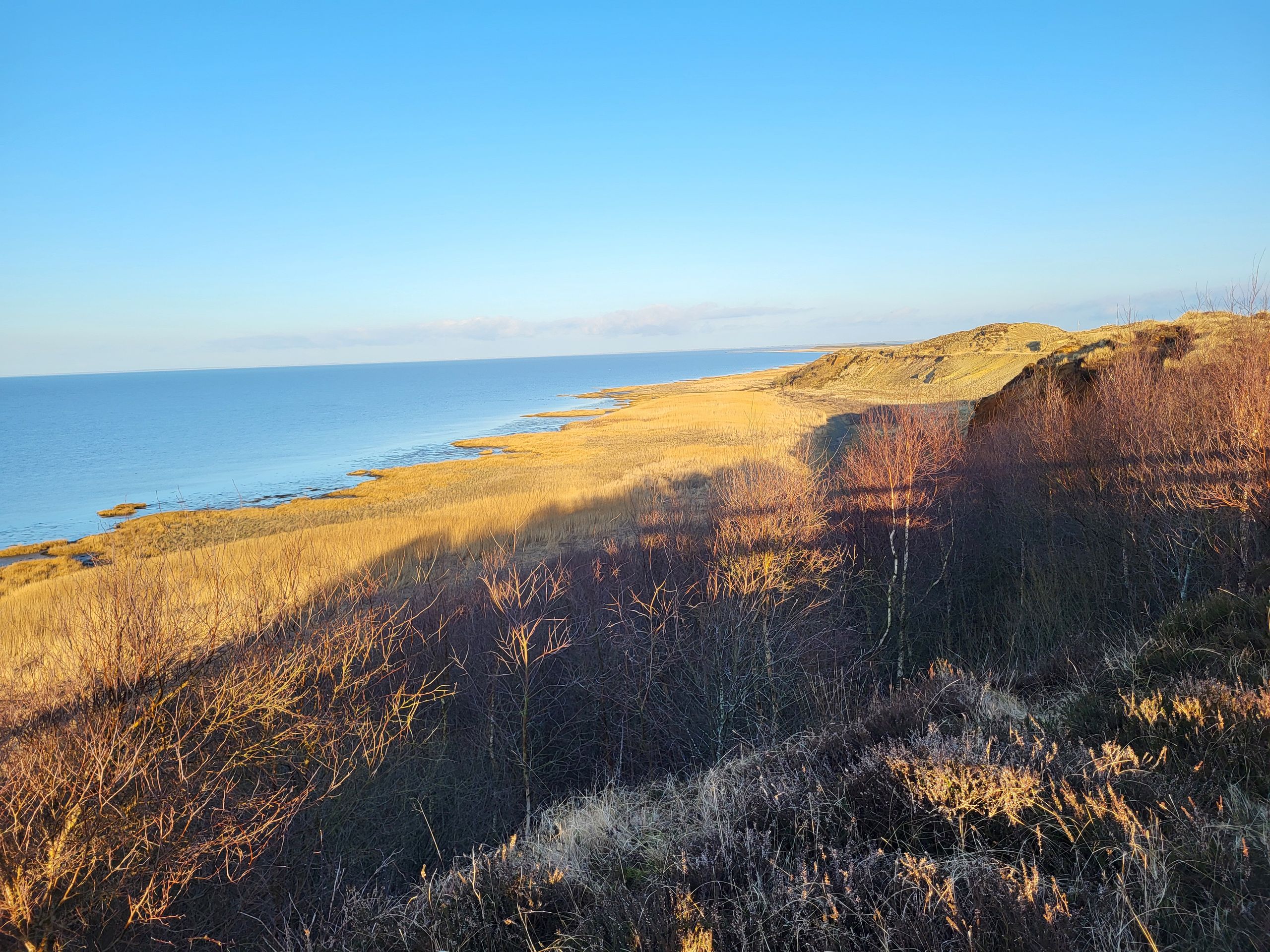 Morsum Cliff