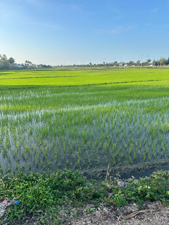Hoi An 2