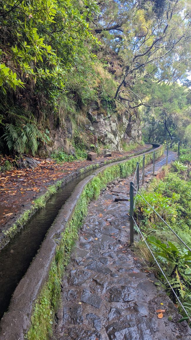 Tag 10: Levada das 25 Fontes und Risco & Feenwald