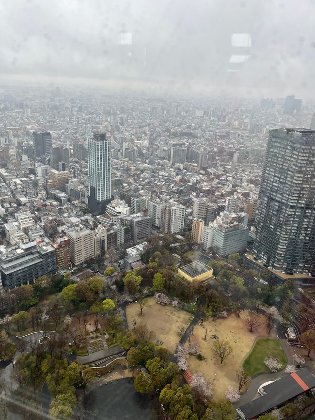 Tokio-Dienstag, 01.April 2025
