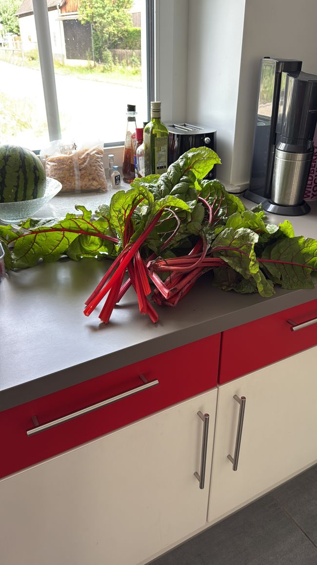 Unsere Hochbeete/ our raised beds