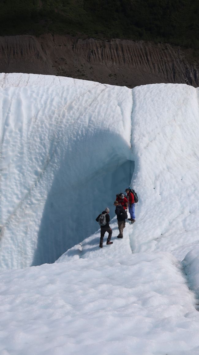 Glacier Root