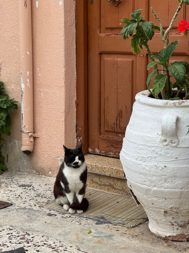 Un giorno a Rethymno