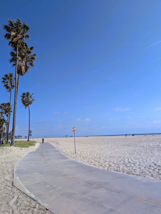 Venice Beach