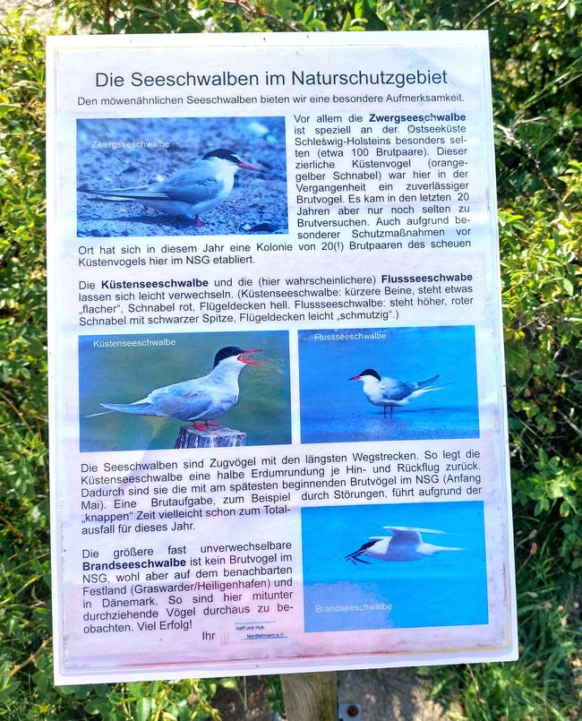 Fehmarn