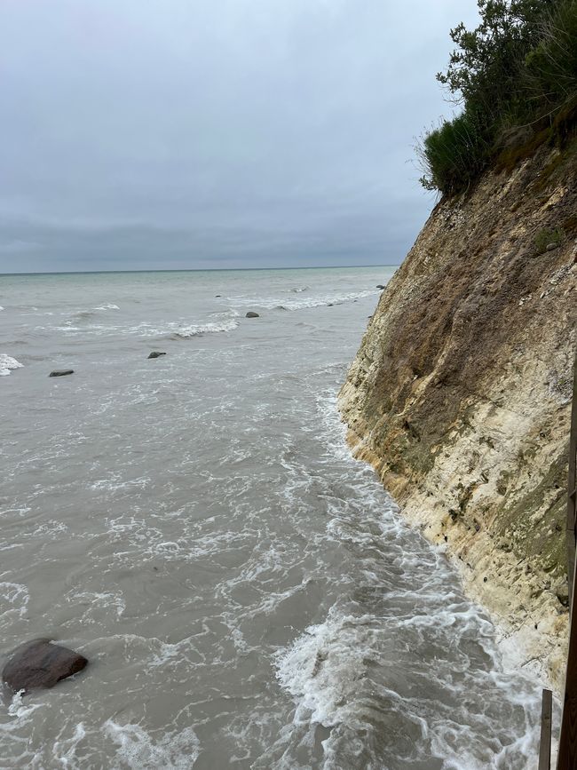 Møns Klint