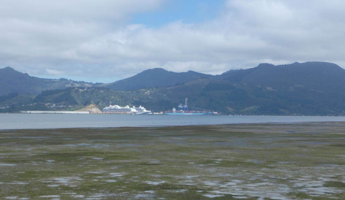 In der Bucht bei Port Chalmers