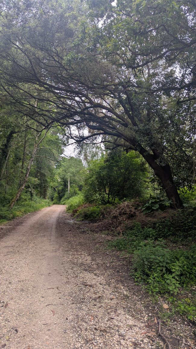13. Stage Camino del Norte from Barro to Camango