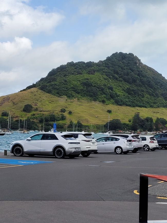 Día 68 de 175: Crucero alrededor del mundo - Tauranga/Nueva Zelanda