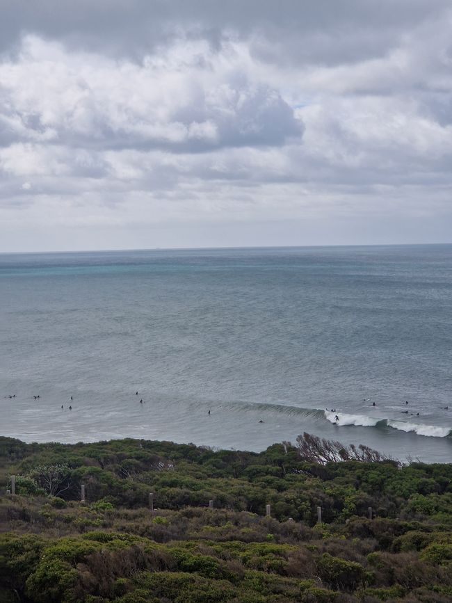 Surfer bei Torquay 