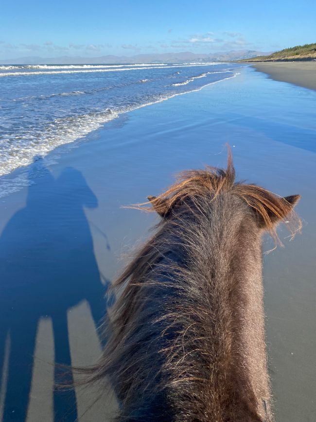 Childhood dream fulfilled. Galloping on the beach