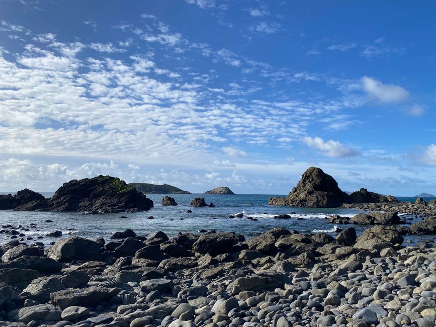 De whangarei à auckland