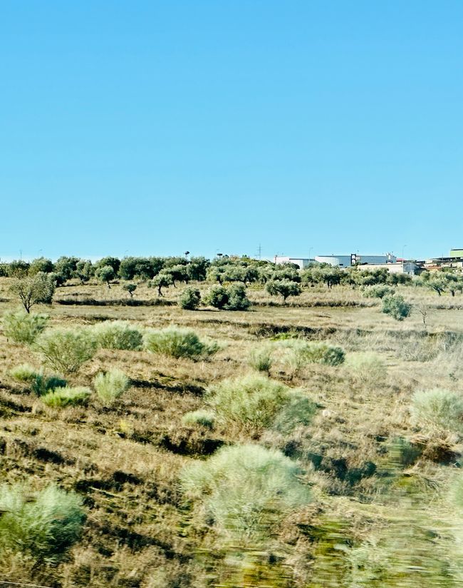 Von Mérida nach Albufeira, Algarve 