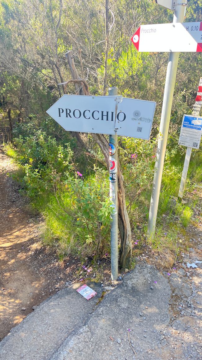 ToscanaMaremmaElba 9.Giorno
