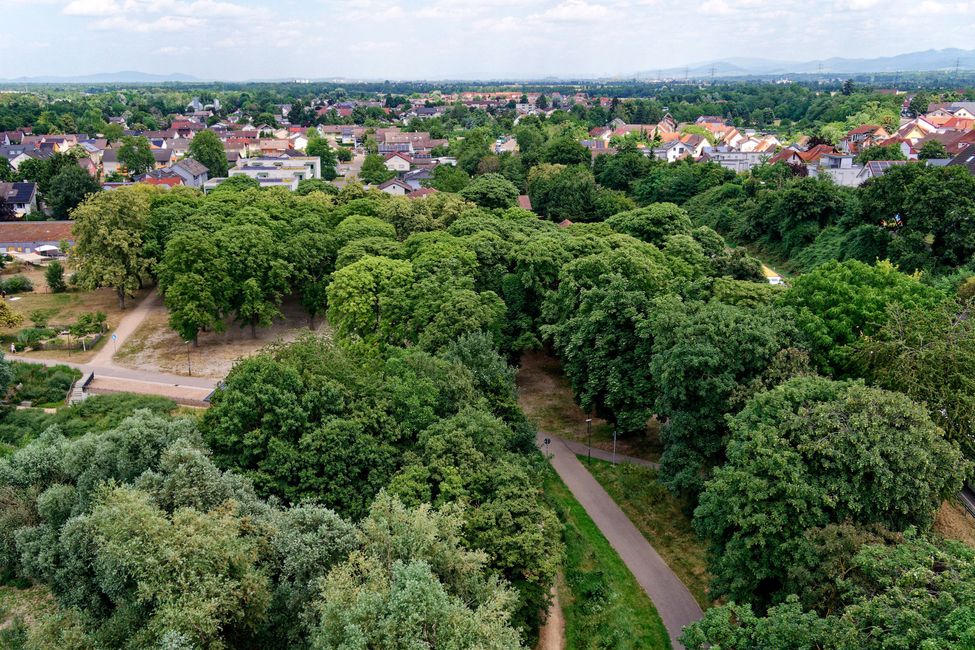 Parcheggio, Münster e chiesa romanica