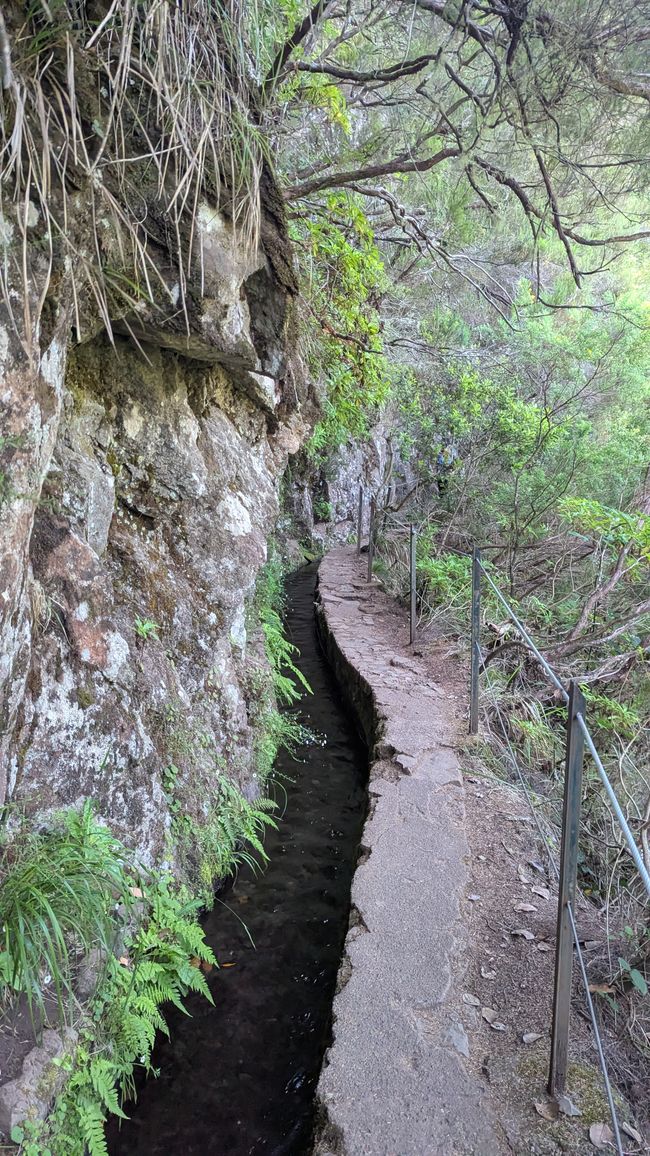 Tag 14: Levada do Caldeirão Verde & Nordküste